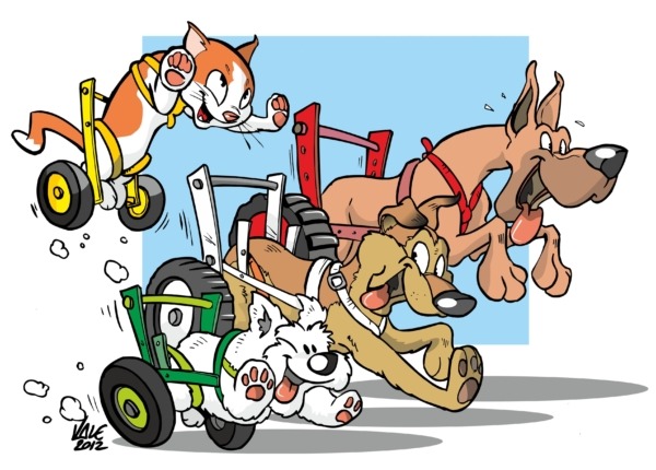 carrellini disabili