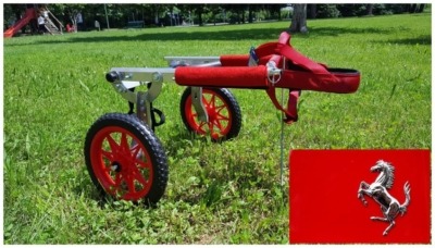 tecno cavallino